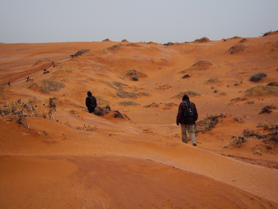 coral pink dunes (1) (Copier).JPG